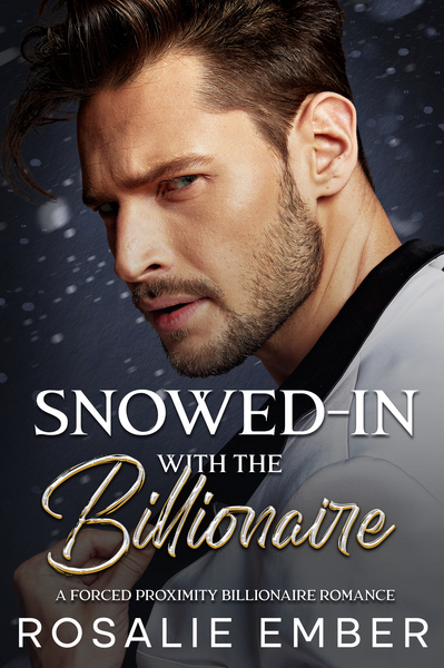 Snowed in with the&nbsp;Billionaire